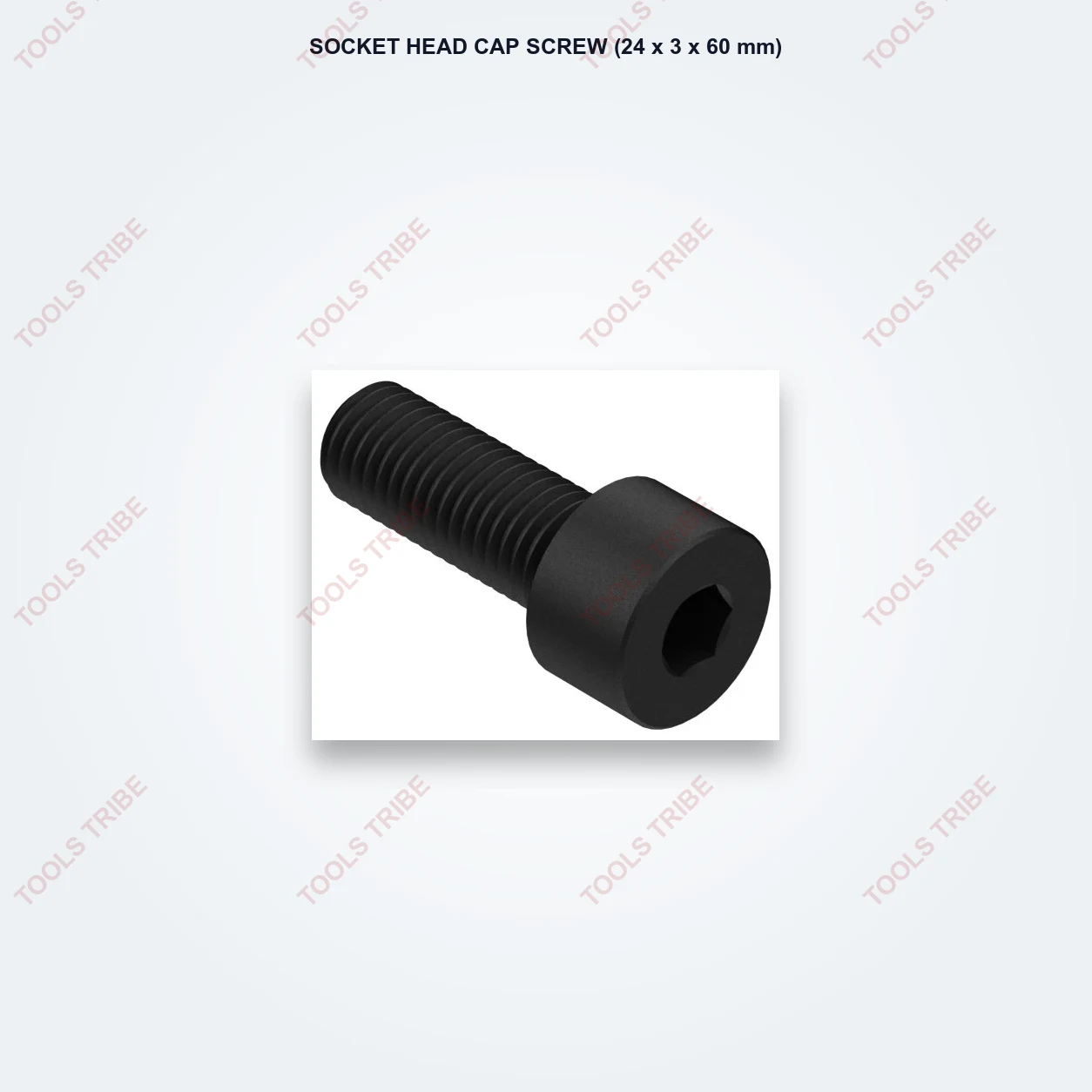 SOCKET HEAD CAP SCREW(24*3*60)