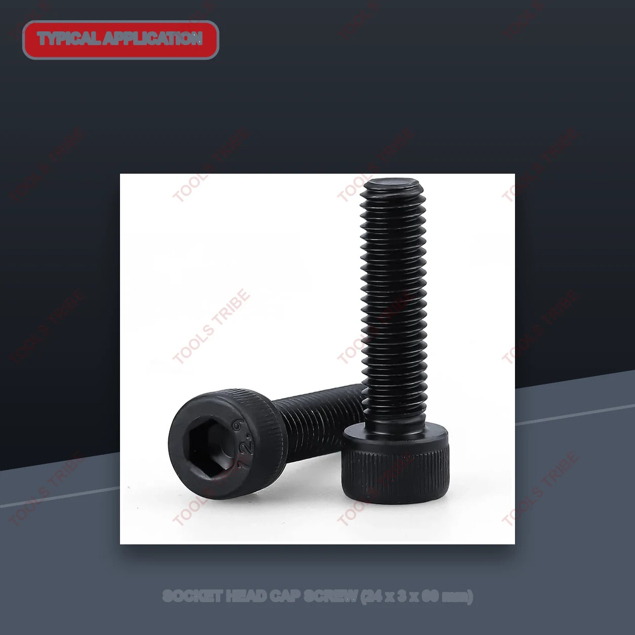 SOCKET HEAD CAP SCREW(24*3*60)