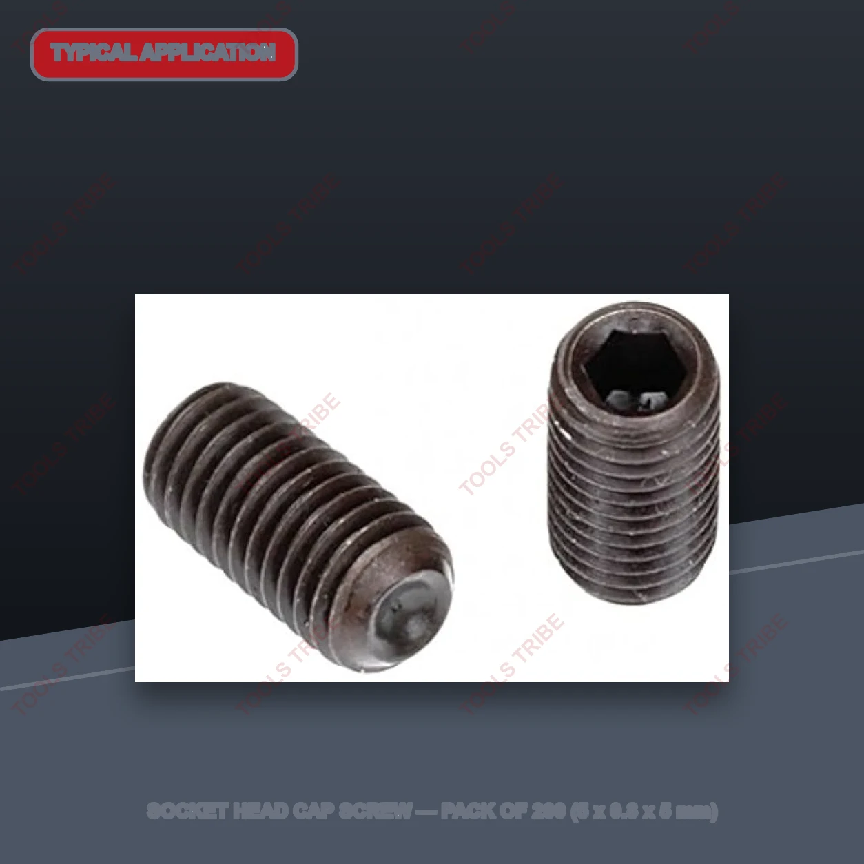 SOCKET HEAD CAP SCREW — Pack of 200 (5*0.8*5)