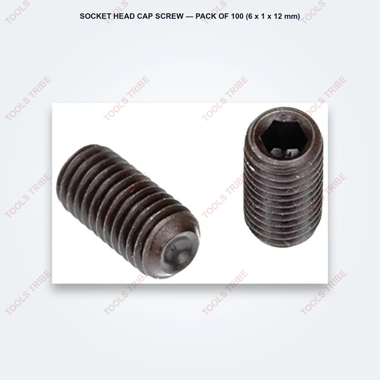 SOCKET HEAD CAP SCREW — Pack of 100 (6*1*12)