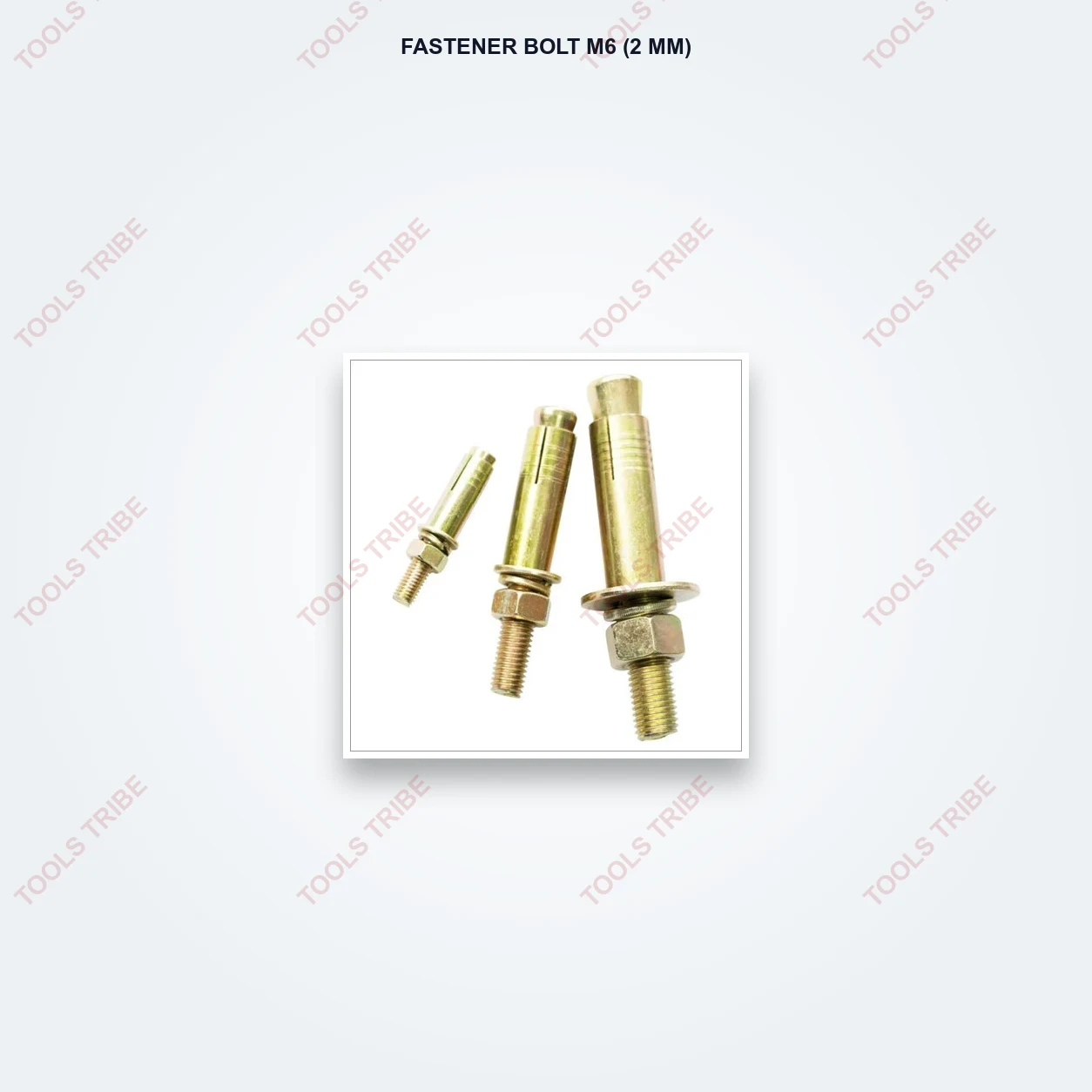 Anchor Fasteners BOLT M6 (2MM)