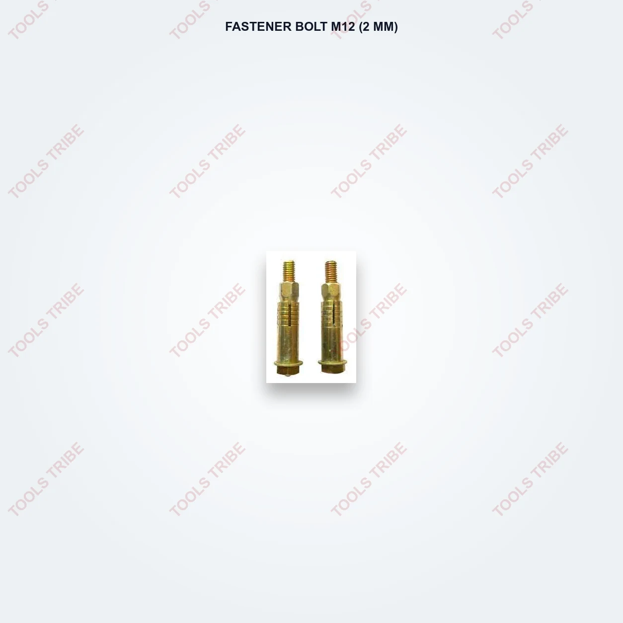 Anchor Fasteners BOLT M12 (2MM)