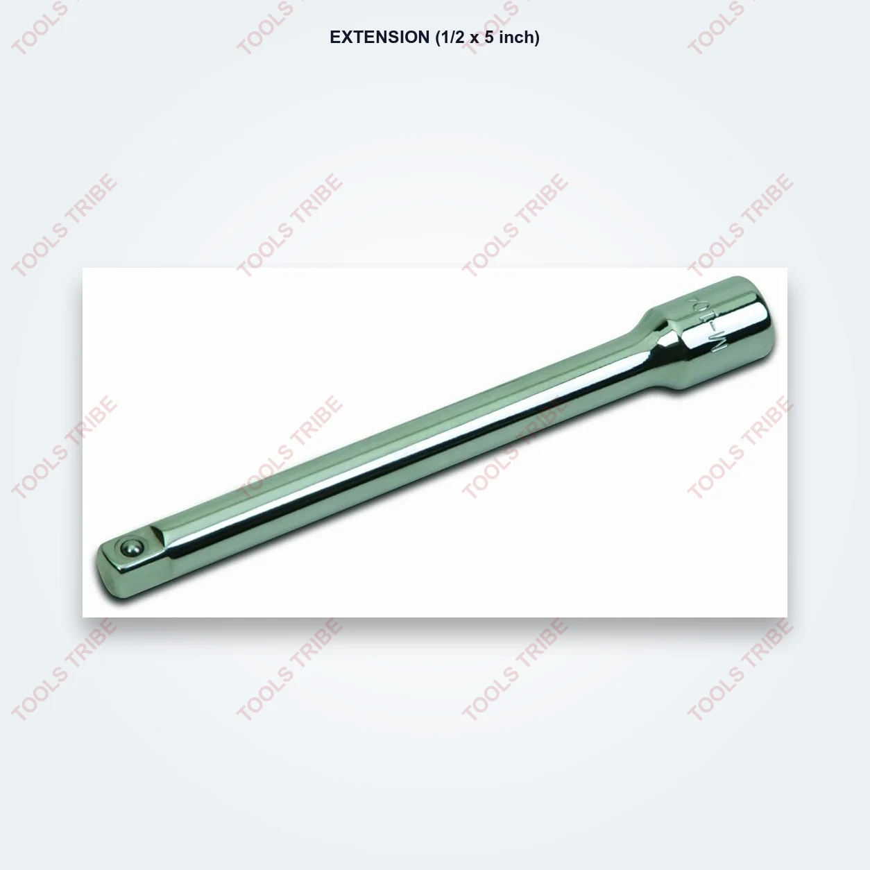 EXTENSION (1/2*5)