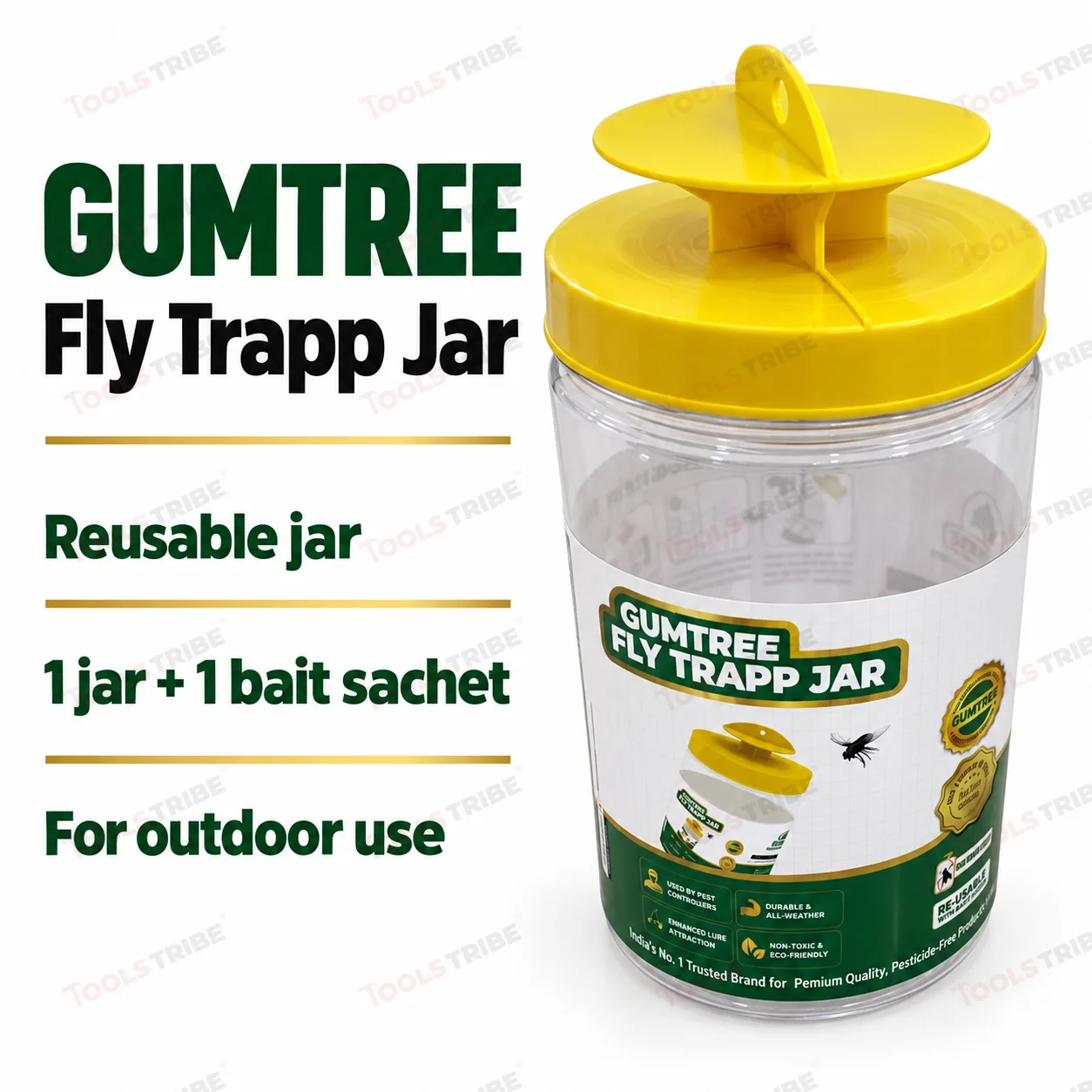 FLY TRAP