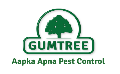 GUMTREE