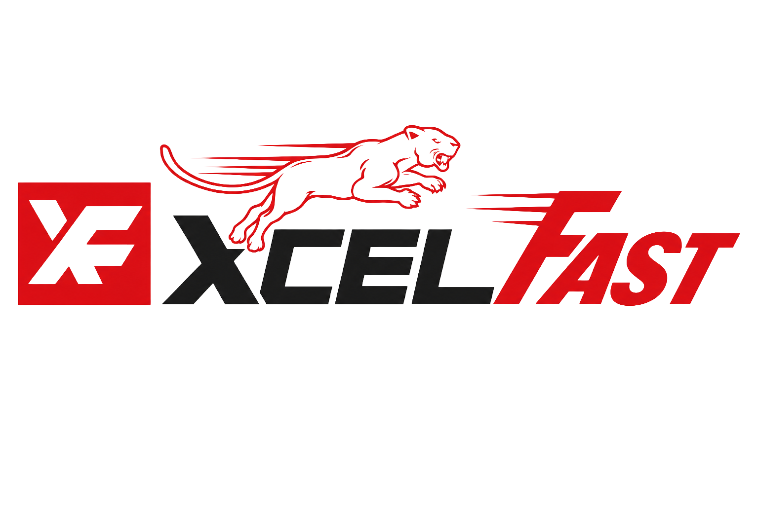 XCEL FAST