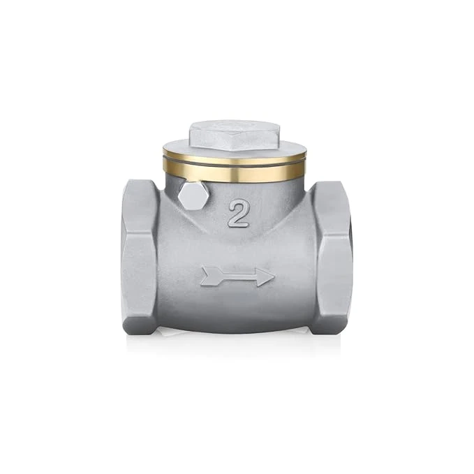 SS HORIZONTAL NRV THREADED 25 MM